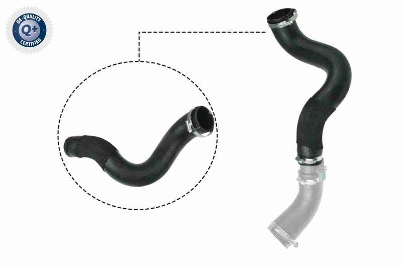 VAICO Charger Air Hose Q+, original equipment manufacturer quality
