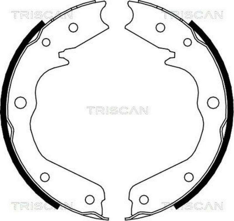 TRISCAN Brake Shoe Set, parking brake