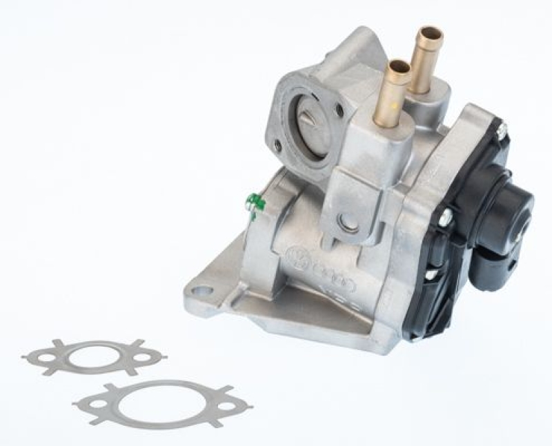 BorgWarner (Wahler) EGR Valve