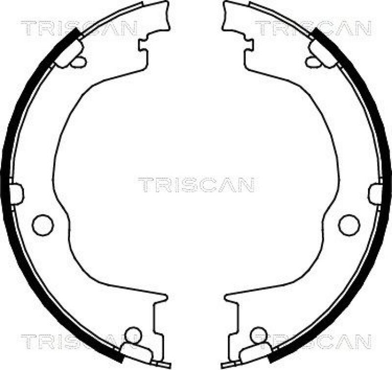 TRISCAN Brake Shoe Set, parking brake