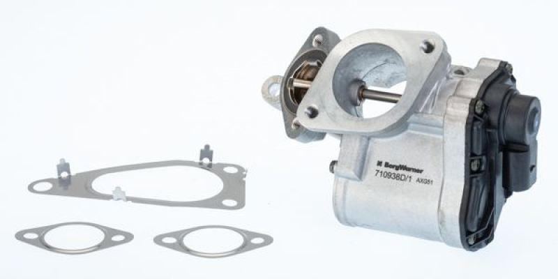 BorgWarner (Wahler) EGR Valve