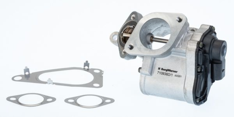 BorgWarner (Wahler) AGR-Ventil