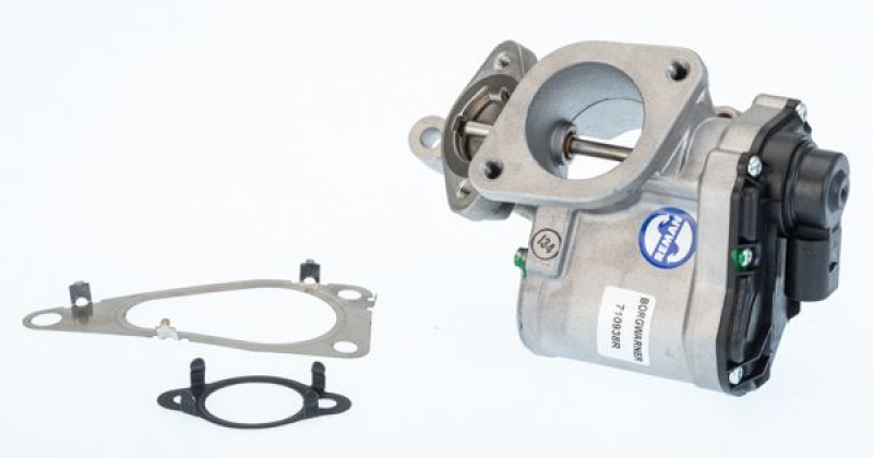 BorgWarner (Wahler) AGR-Ventil