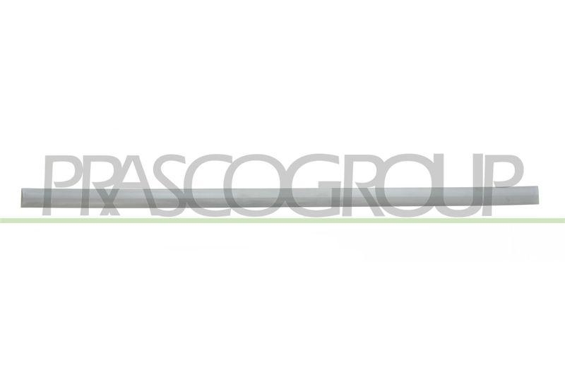 PRASCO Zier-/Schutzleiste, Tür