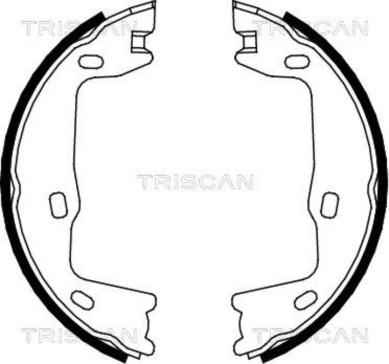 TRISCAN Brake Shoe Set, parking brake