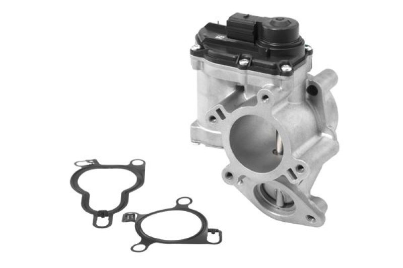 BorgWarner (Wahler) AGR-Ventil