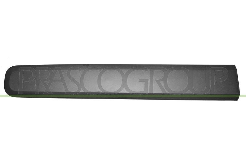 Trim/Protective Strip, door