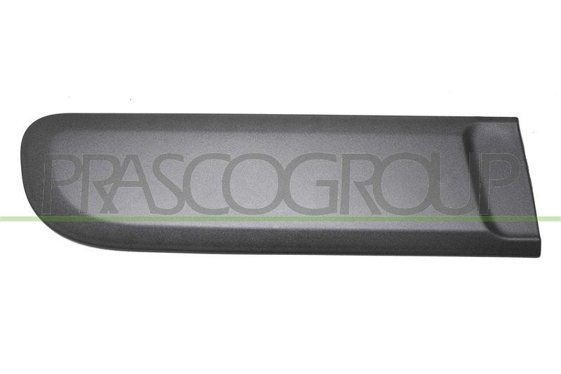 PRASCO Zier-/Schutzleiste, T&uuml;r FT1241453