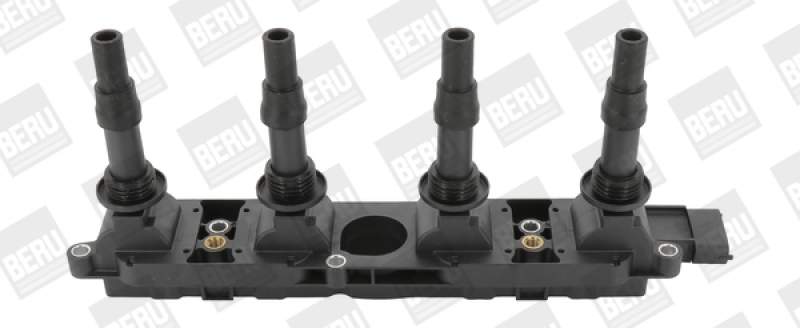 BorgWarner (BERU) Ignition Coil