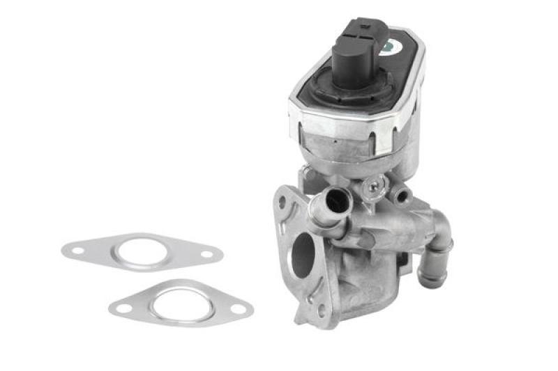 BorgWarner (Wahler) AGR-Ventil