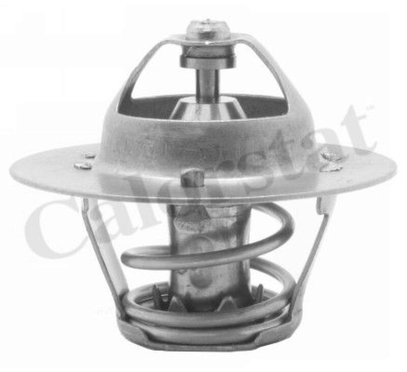 CALORSTAT by Vernet Thermostat, coolant