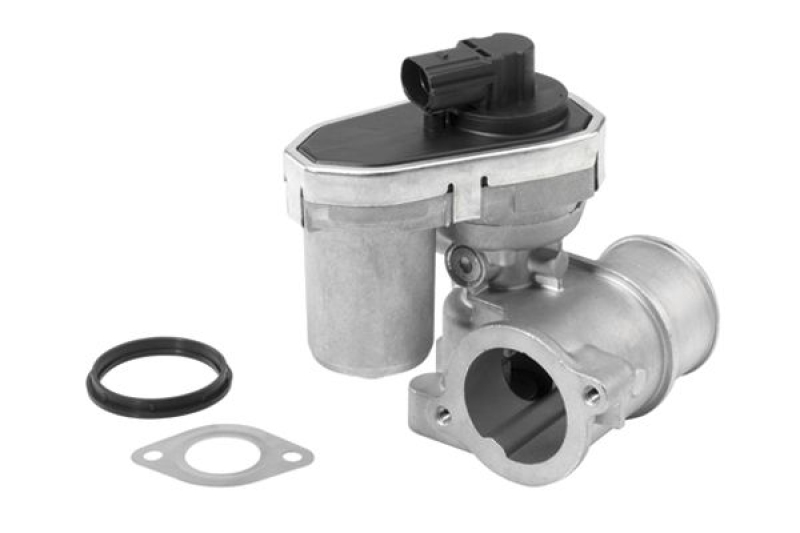 BorgWarner (Wahler) AGR-Ventil 710942R