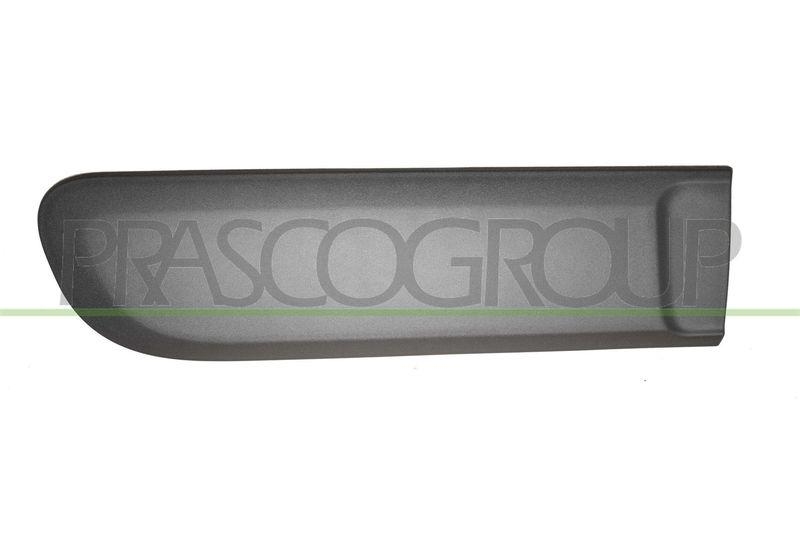 PRASCO Zier-/Schutzleiste, T&uuml;r FT1241463