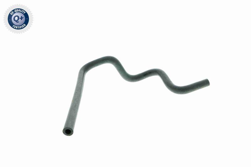 VAICO K&uuml;hlerschlauch Q+, Erstausr&uuml;sterqualit&auml;t V20-1610