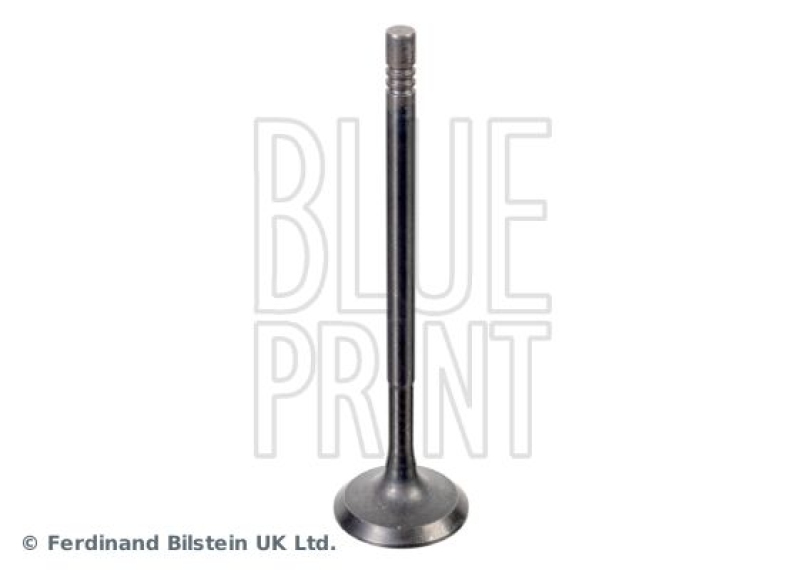 BLUE PRINT Einlassventil ADBP610041