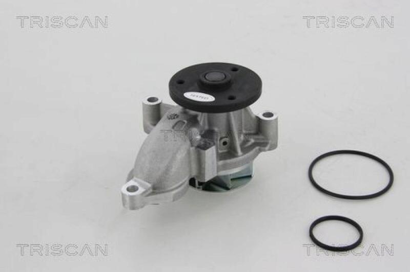 TRISCAN Wasserpumpe