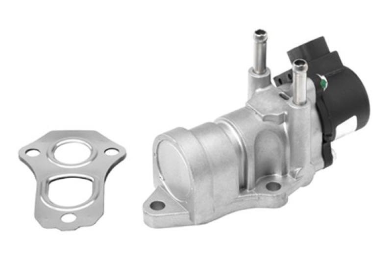 BorgWarner (Wahler) AGR-Ventil