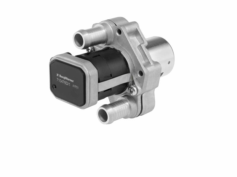 BorgWarner (Wahler) AGR-Ventil