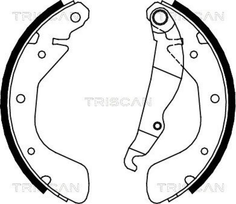 TRISCAN Brake Shoe Set