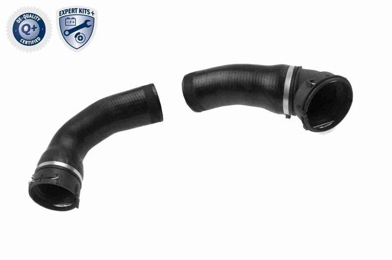 VAICO Ladeluftschlauch EXPERT KITS + V20-1613