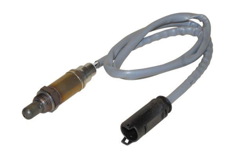 BOSCH Lambdasonde 0 258 005 310