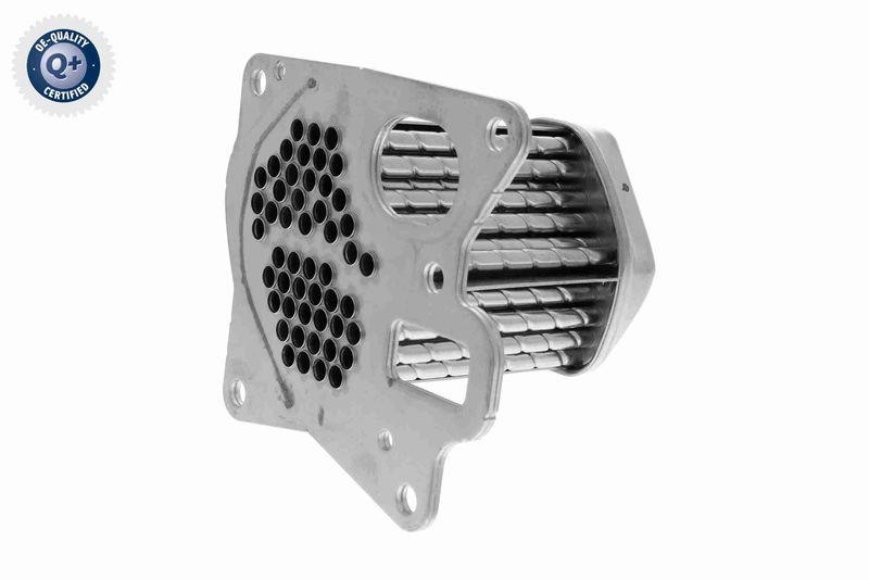 VEMO Cooler, exhaust gas recirculation Q+, original equipment manufacturer qu...