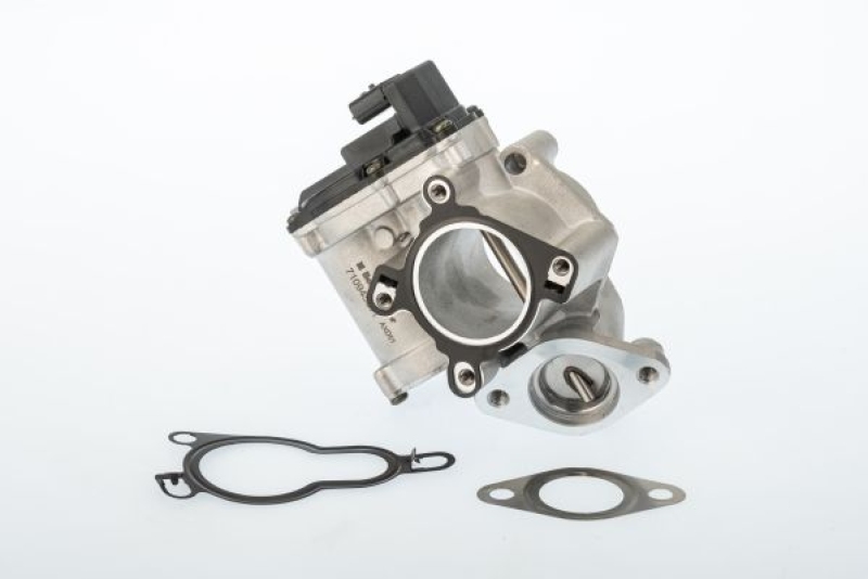 BorgWarner (Wahler) AGR-Ventil 710945D/1
