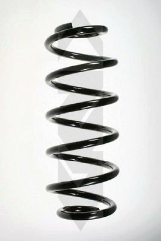 SPIDAN Suspension Spring