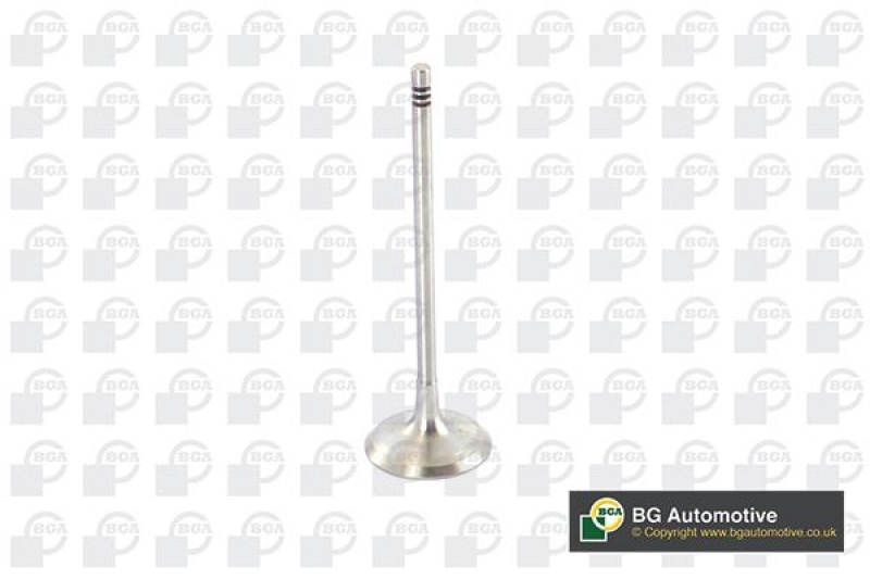 BGA Intake Valve
