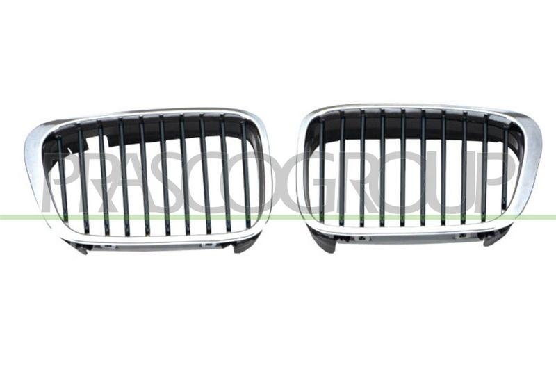 Radiator Grille