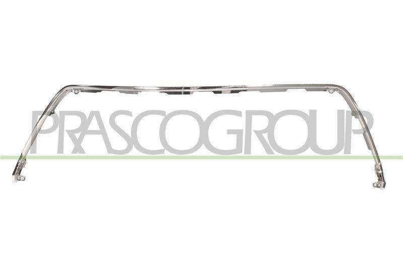 Trim/Protective Strip, radiator grille Premium