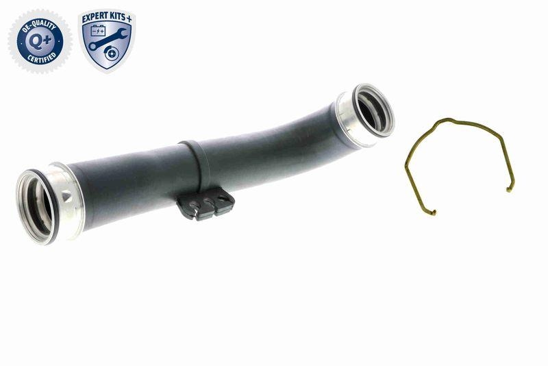 VAICO Charger Air Hose EXPERT KITS +
