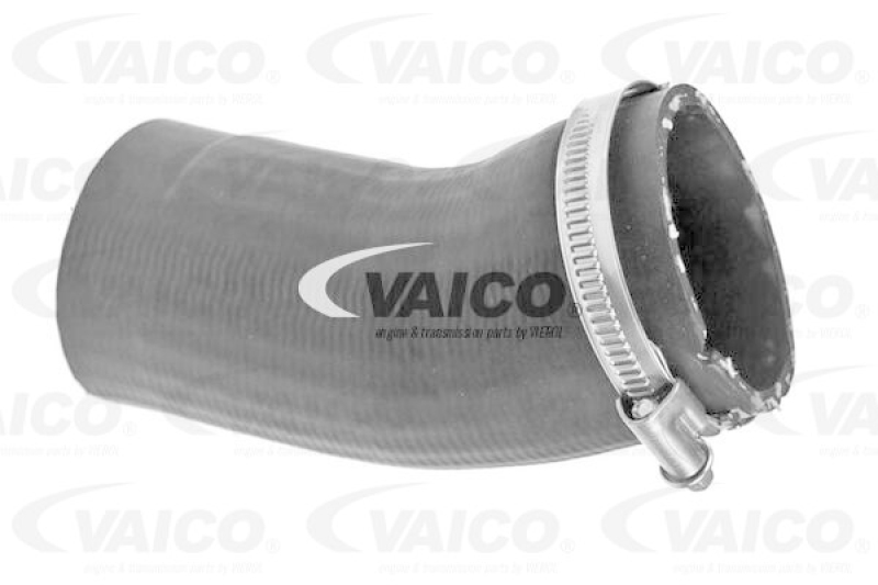 VAICO Ladeluftschlauch Original VAICO Qualit&auml;t V10-5527