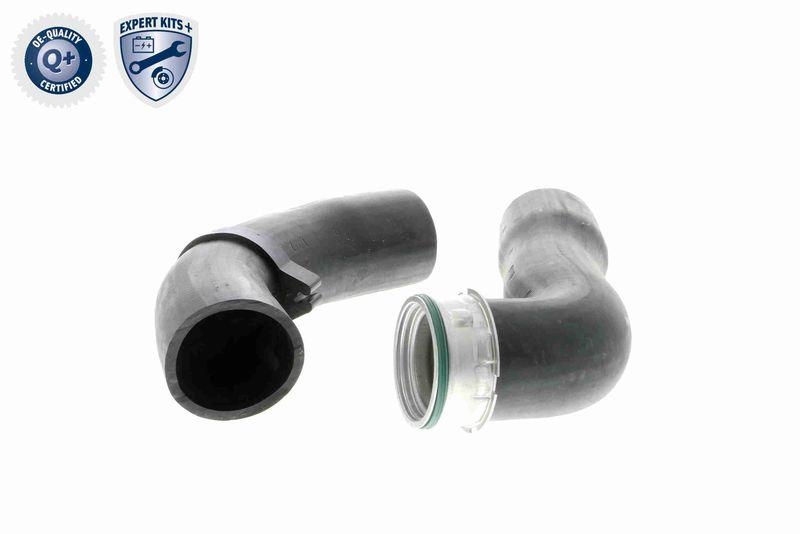 VAICO Charger Air Hose EXPERT KITS +