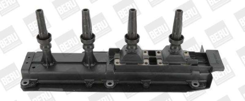 BorgWarner (BERU) Ignition Coil
