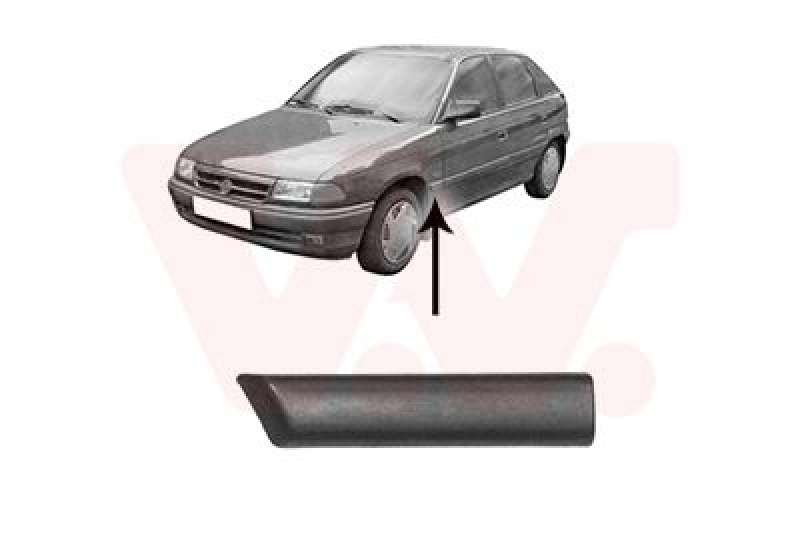VAN WEZEL Trim/Protective Strip, wing