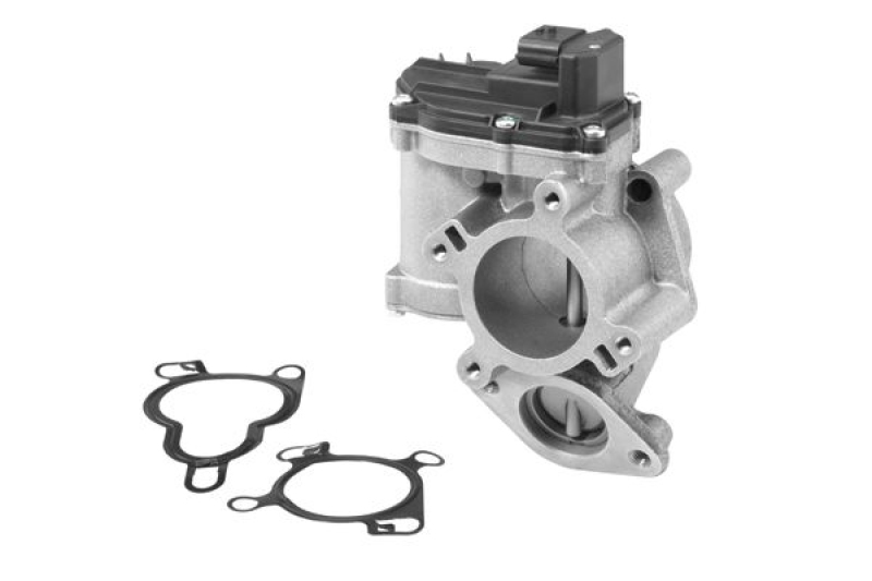 BorgWarner (Wahler) EGR Valve