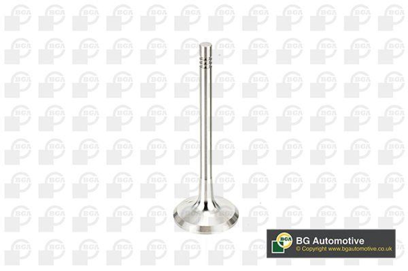 BGA Auslassventil V991760