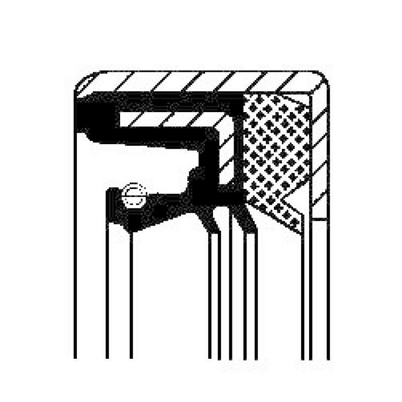 CORTECO Wellendichtring, Differential