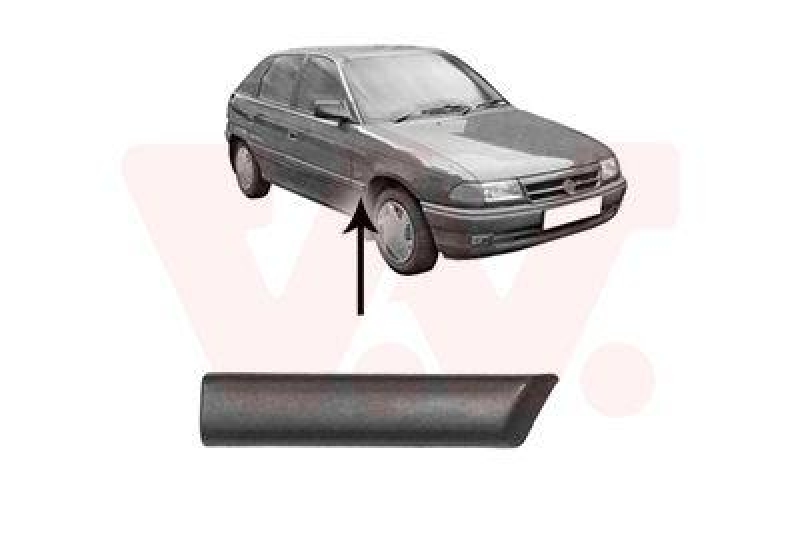 VAN WEZEL Trim/Protective Strip, wing
