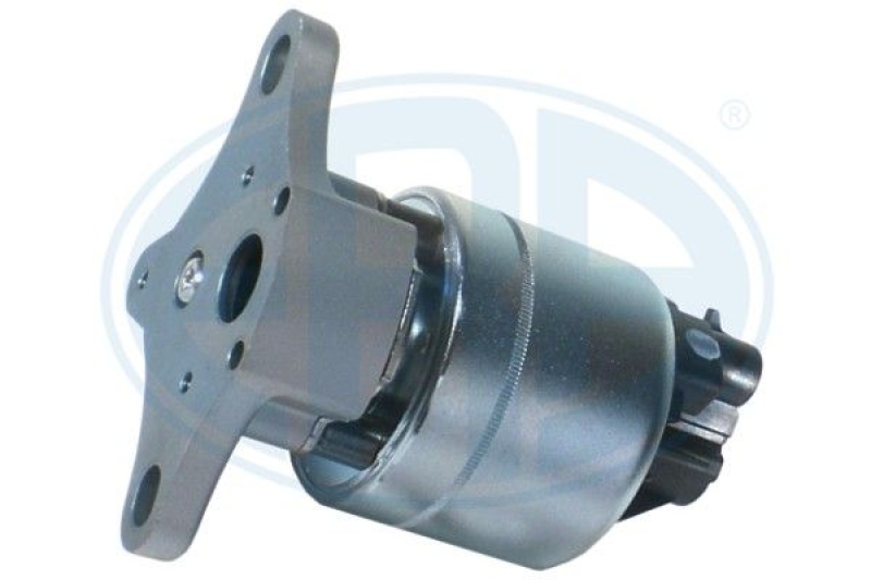 ERA EGR Valve
