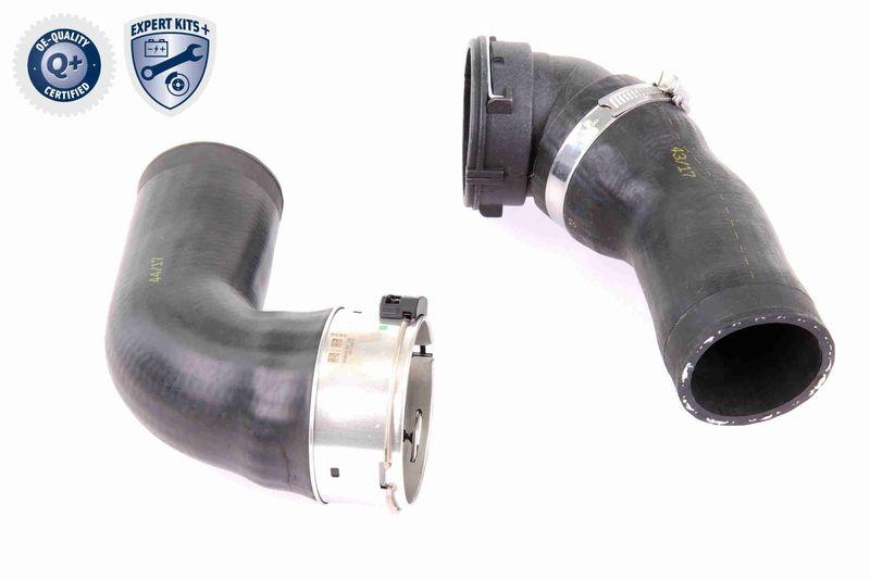 VAICO Ladeluftschlauch EXPERT KITS + V20-1617