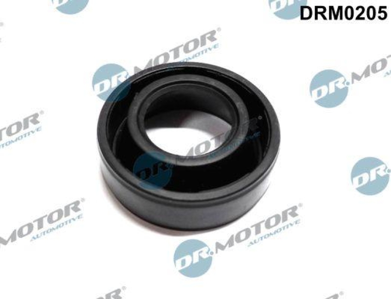 Dr.Motor Automotive Dichtung, Düsenhalter