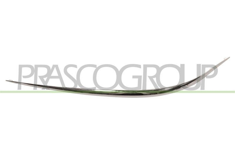 Trim/Protective Strip, bumper
