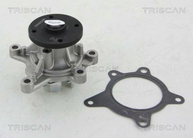 TRISCAN Water Pump
