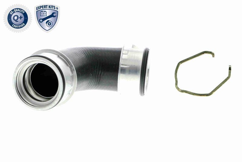 VAICO Charger Air Hose EXPERT KITS +