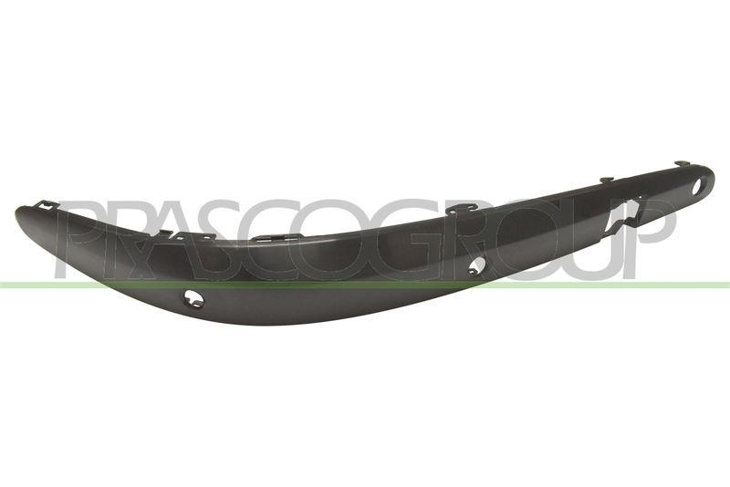 Trim/Protective Strip, bumper