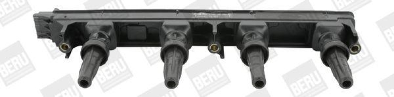 BorgWarner (BERU) Ignition Coil