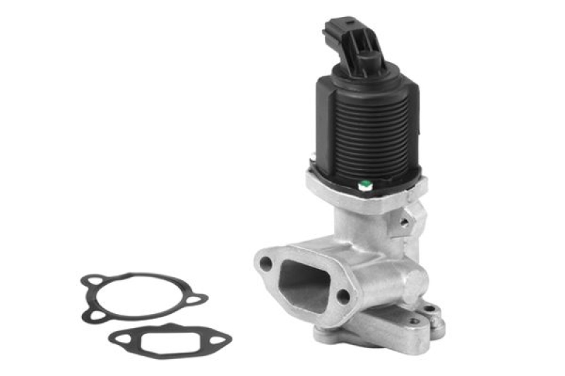 BorgWarner (Wahler) EGR Valve