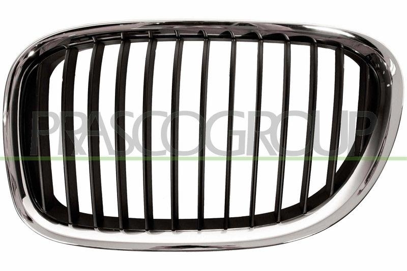 Radiator Grille